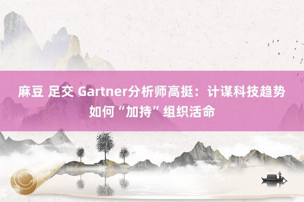 麻豆 足交 Gartner分析师高挺：计谋科技趋势如何“加持”组织活命